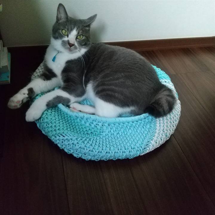 9e6447c6 994e 4127 a3a1 2db246a6a35a 1623581226004