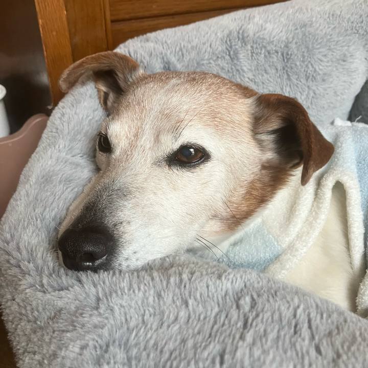 9e6458d9 fd34 4edd a687 955921ae60d4 1774223398344