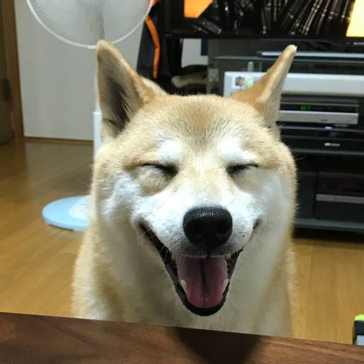 9e648266 e686 42ad b2c2 9e3351623652 1531655743312