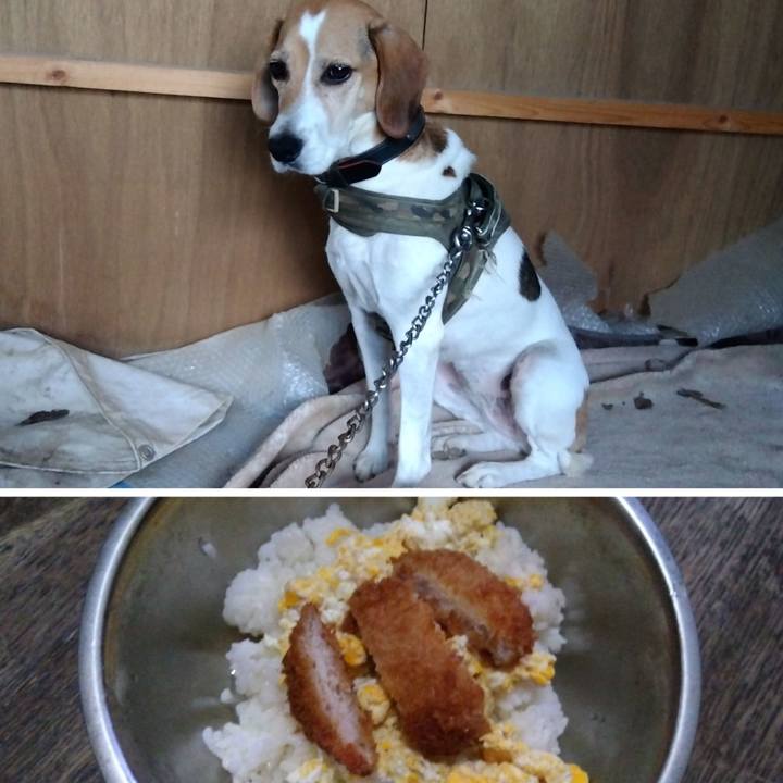 9e64bb10 a689 49d9 a42f 88f144bbf0c8 1694511193633