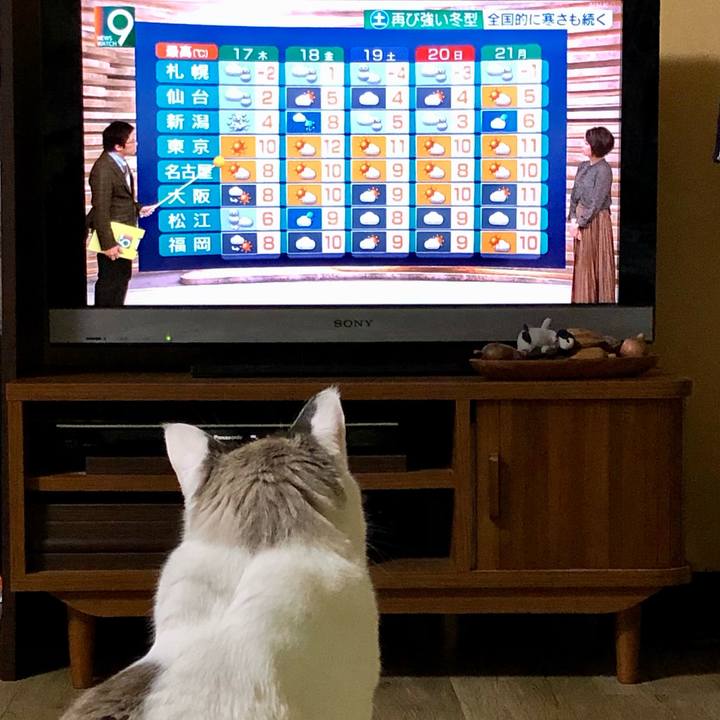 9e64d031 5678 4401 a7de 4ae92bcc2fbf 1608122808332