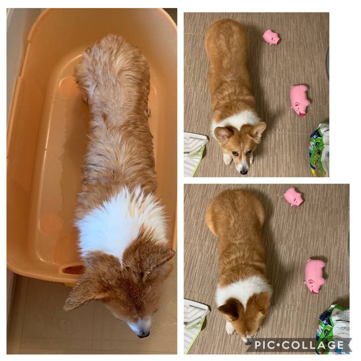 9e654961 dbc4 4bcd a8db 54210a3c03db 1565270543677