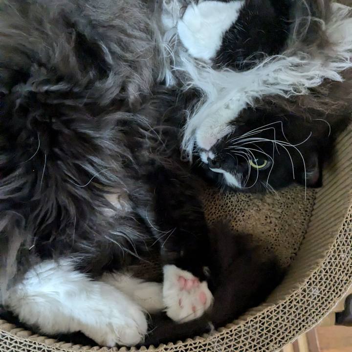 9e654ca7 c762 4af1 8af3 b2e63c400d6f 1734226230378