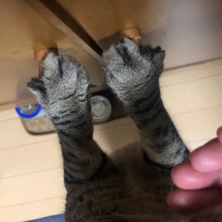 9e6568f7 146b 47d9 9b90 81bd259e578d 1600094456942