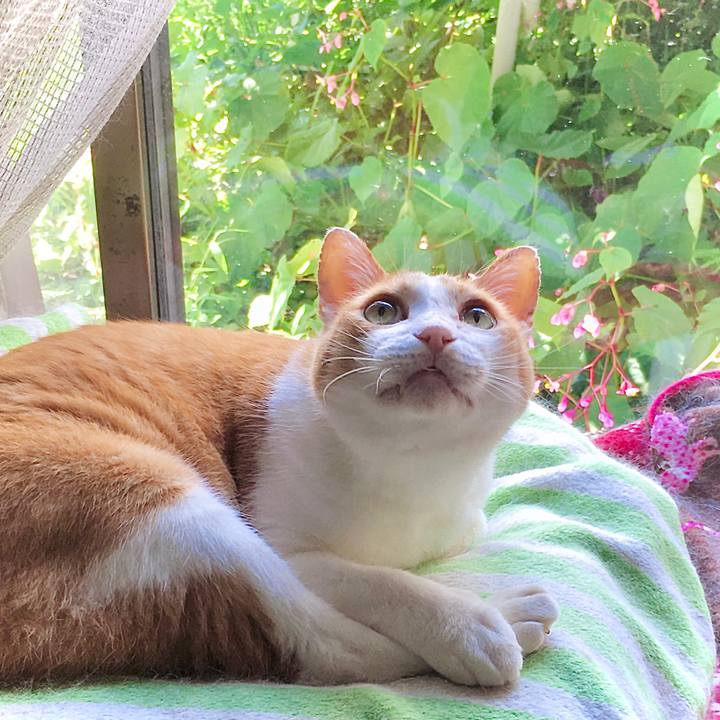 9e65873f a09e 4f10 988f 430a74725172 1630122579183