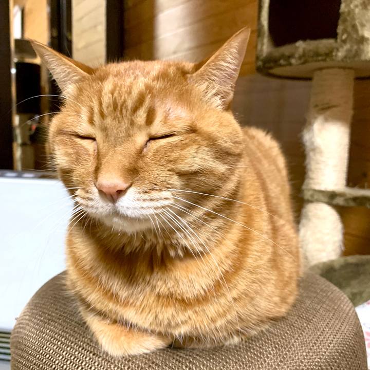 9e65b3ba eb27 478c 826a fd9bed362668 1583589468871