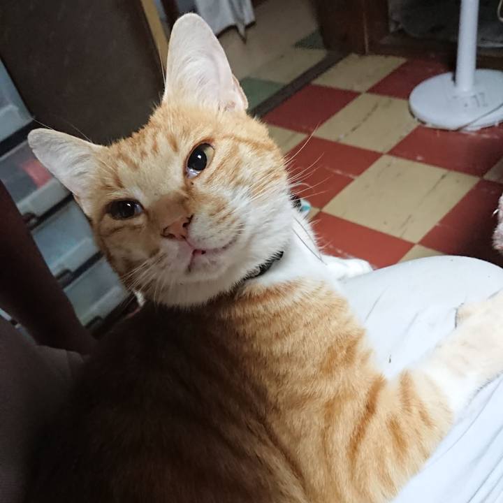 9e65c7b4 f60b 4c2f 97b1 57f33b8b8057 1593373194361