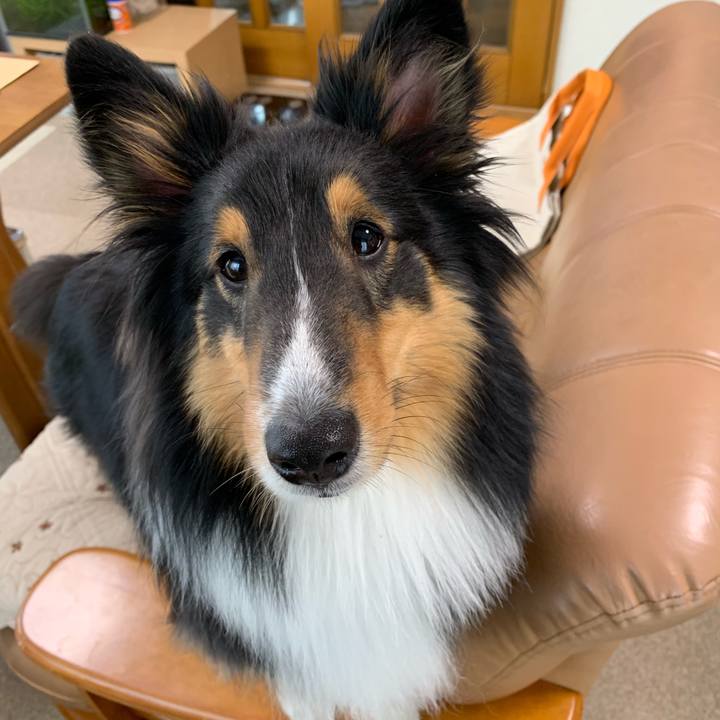 9e65c978 6d1f 45c3 b609 54981b967849 1553126378437