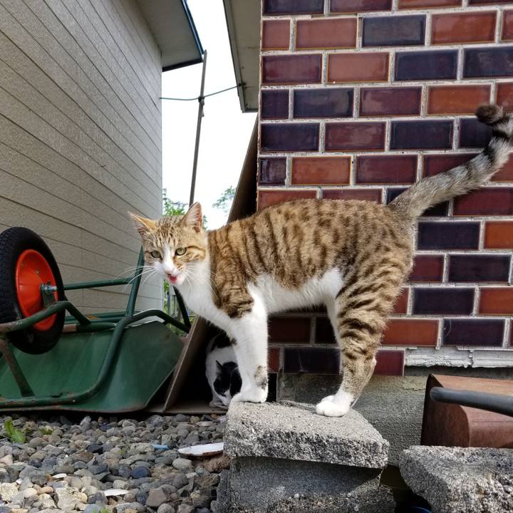 9e66141d fe9d 4a0d 9840 3196e97d71c1 1623024328191