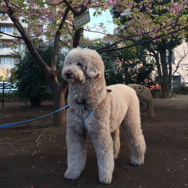 9e663779 0219 4d25 9aa1 94f90c28a6b5 1601980517807