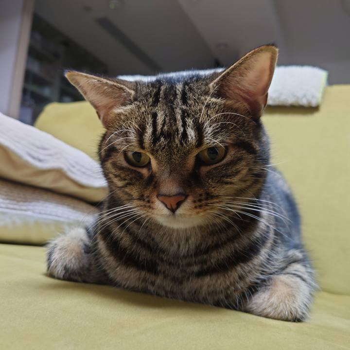 9e666ec4 d1e7 4218 ad9d bf09cff6516f 1666789973828