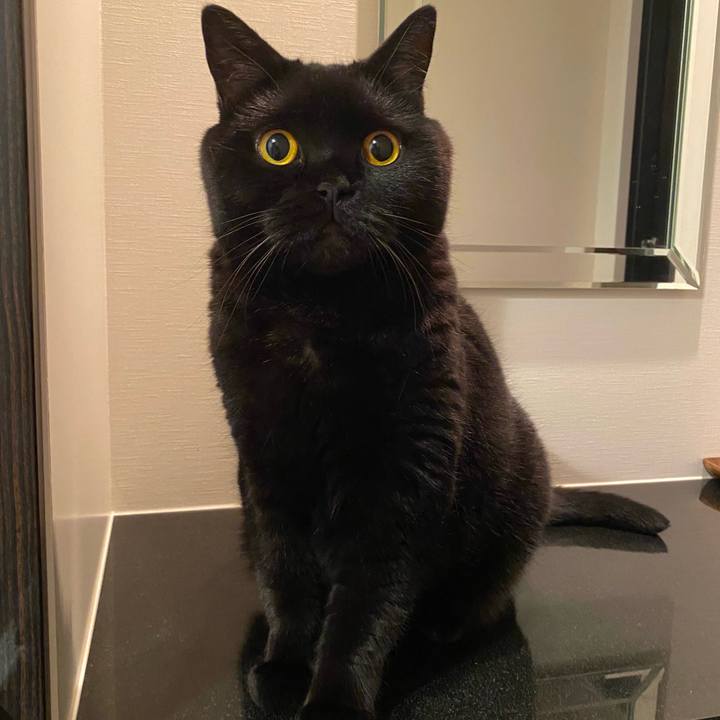 9e66d47b 01ab 4bcd 940c b09b12b4b629 1627738235472