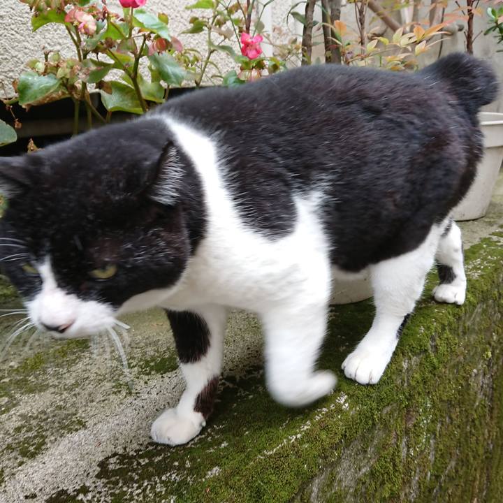 9e66e747 1232 40e3 a949 e88f2ff86762 1624681316039