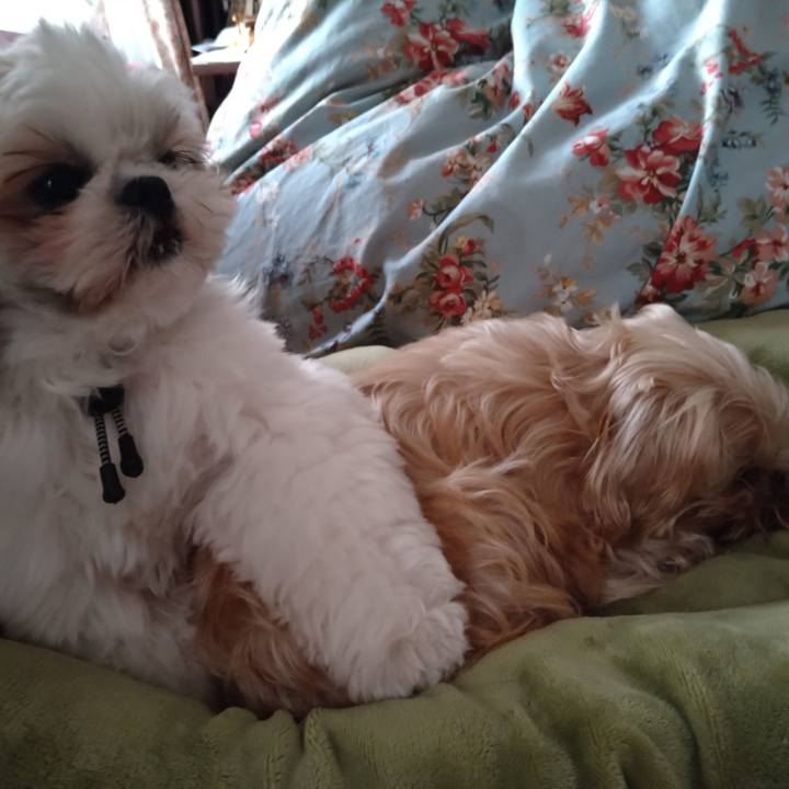 9e66f749 e996 4df4 91b2 ab5bbd64bf32 1609375489544