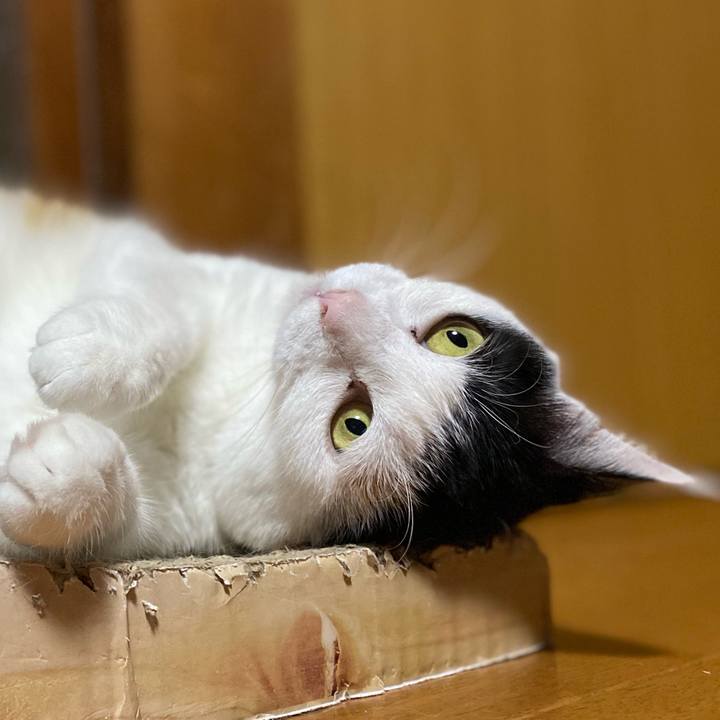 9e670bc8 ee98 422b bc73 2b1239ed467e 1651266988644