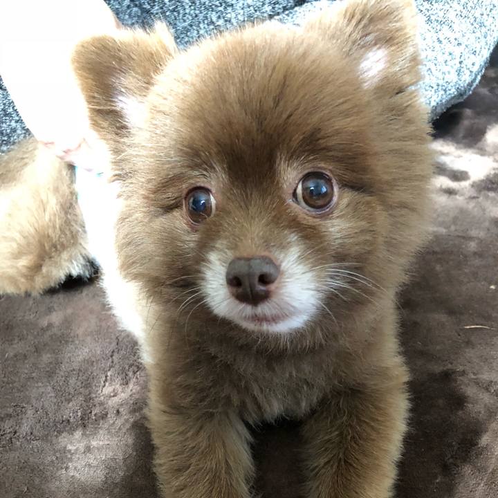 9e672b32 ba01 46f5 95e6 83383667c826 1541296950405