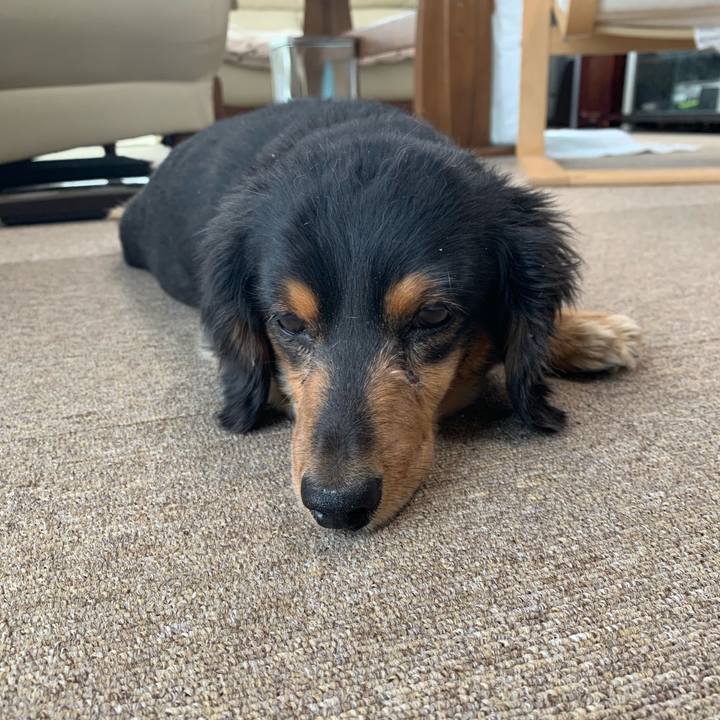 9e6751ba f335 488e a38f c13b45fd41b8 1555799978996