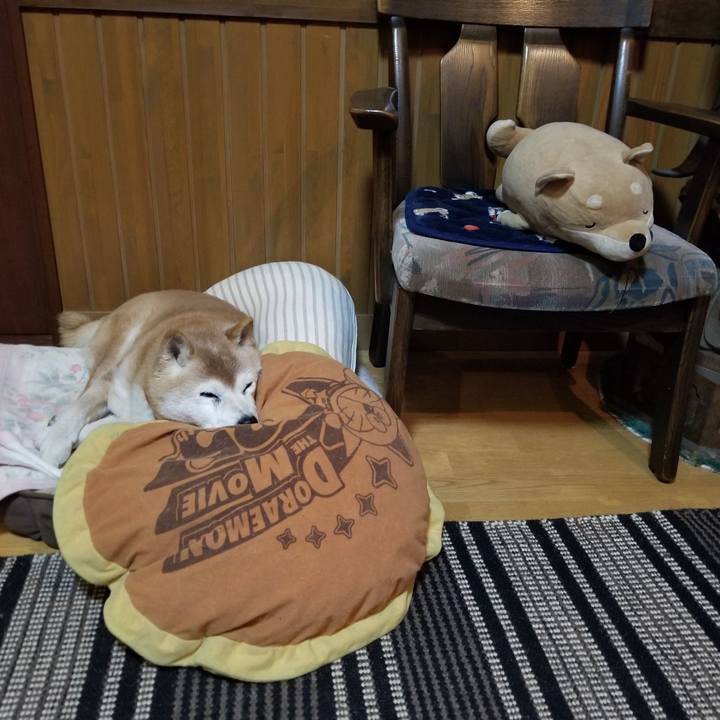 9e67580b 9183 4b49 9a68 5f0d010bea01 1739266171206