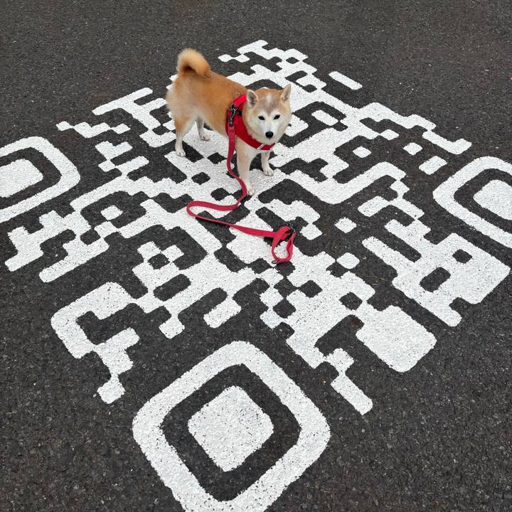 9e6787a7 94dc 48ae 919e a9e544b71a45 1760143086534