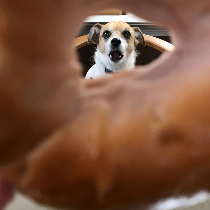 9e678f2f f886 4781 b36a 7b091f3676c8 1554163204217