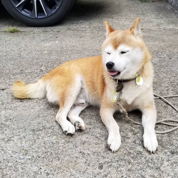 9e67bfc2 b8cc 4b1d b5cc 5c8e1fcb6f43 1661298942579