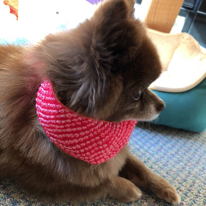 9e67c058 cd97 417e b42c d2f904585895 1552524087435