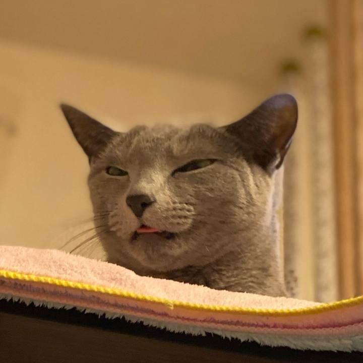 9e67cd07 5661 4c4e 8f9d b4288a3f3e20 1675513969297