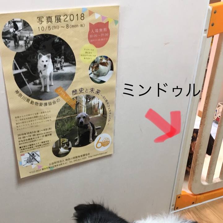 9e67d003 eaaf 40cf ac5e 76b4c493f443 1537266530974