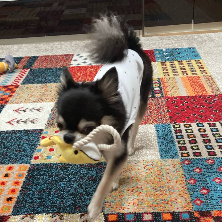 9e67e351 2e3e 42c3 9b95 4a08a7301fb7 1692096652231