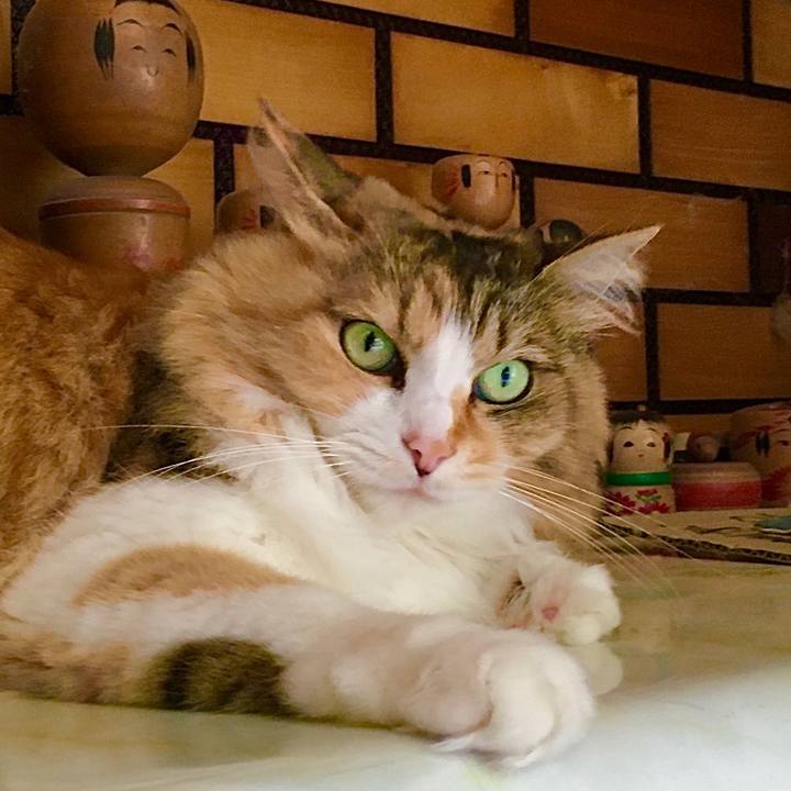 9e681a41 3cd1 490e b466 5488caa60db7 1591256871420