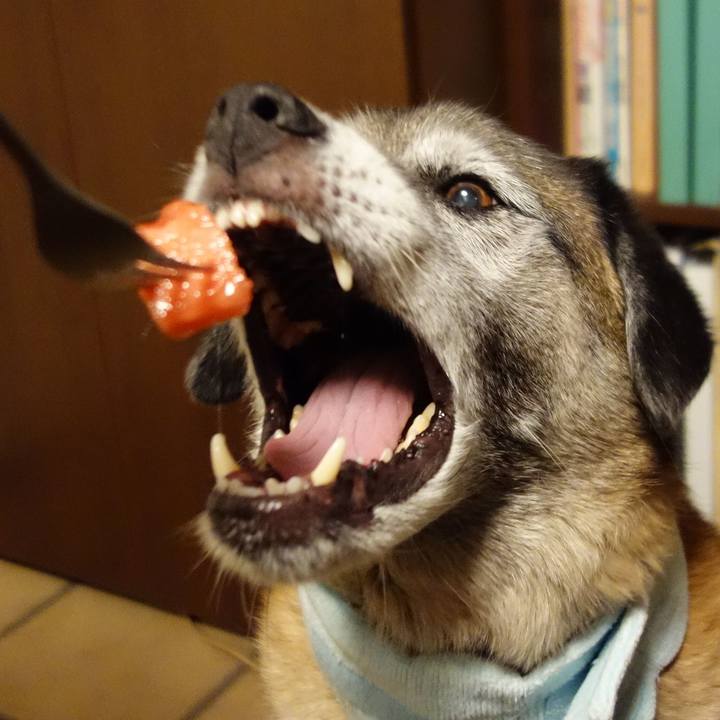 9e6825d4 842f 4f35 a600 7392eac93ef9 1564915997322