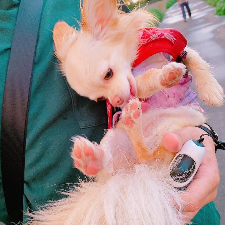 9e682607 0554 4a5f ba71 22c9a4b1327d 1626007309181