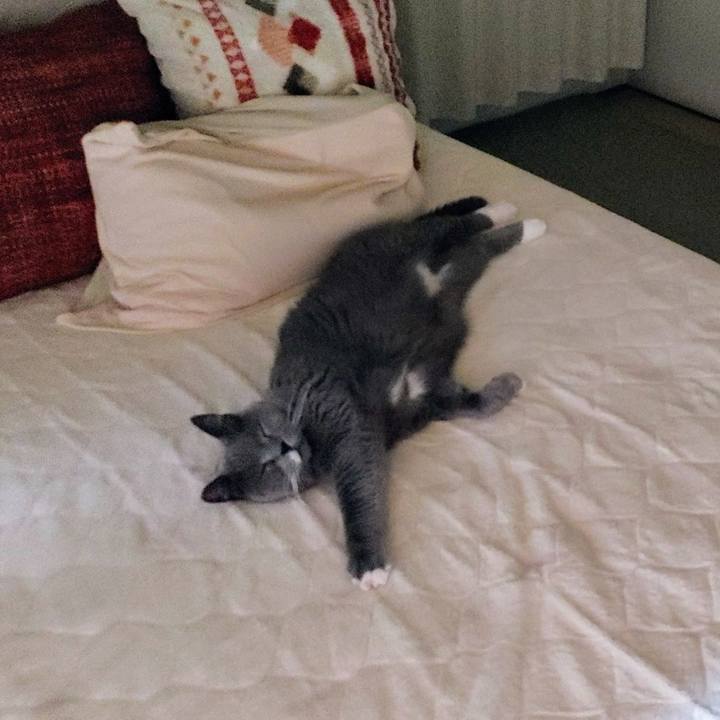 9e6859df f1cf 476a 9804 a9f6e25dc172 1737215985528