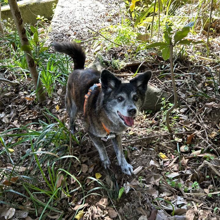 9e685cd5 f061 4f11 9ac8 ede0bad8e126 1743767937244