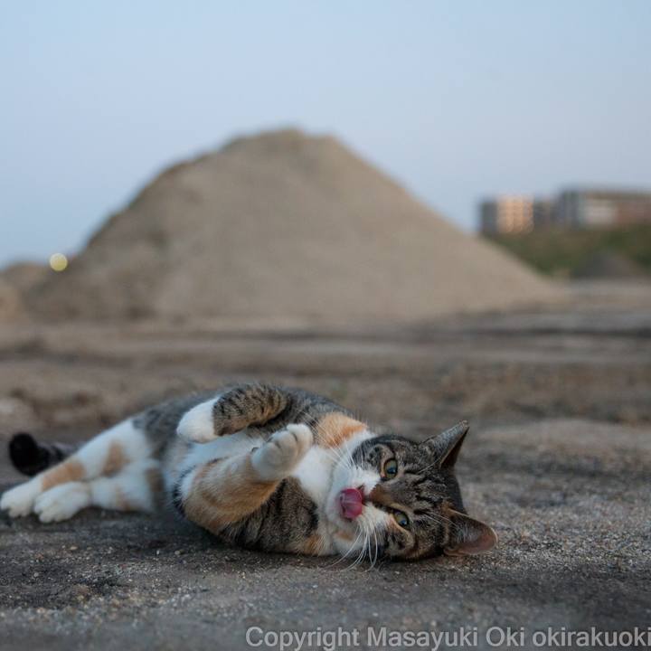 9e686972 c008 4f09 8323 7cc8f5468eb2 1582617574726