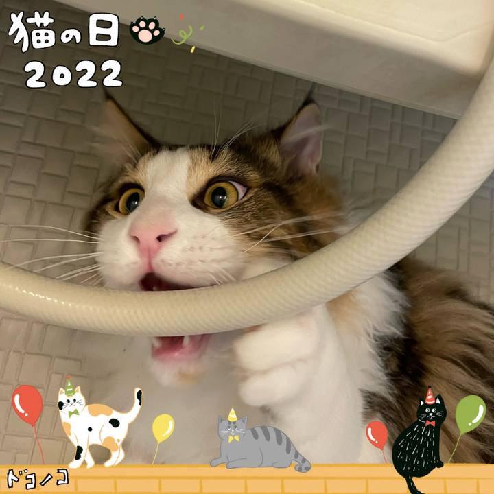 9e68bbde 0100 4f06 9efc 6f6a2c2a2c64 1645528515510