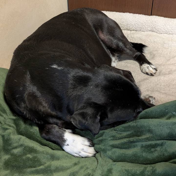 9e694b32 f30c 41d5 b370 5b37315cd245 1763464354938