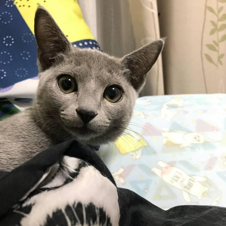 9e698f8c ac36 4451 983b 914a54fd6d85 1507898759356