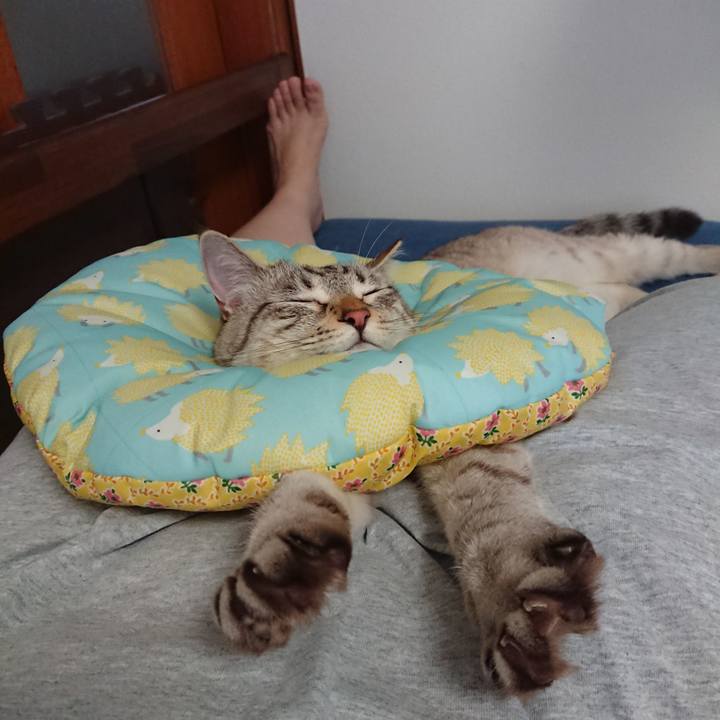 9e69b58b 161a 4da7 94f5 ba70ab127cbc 1563002646623