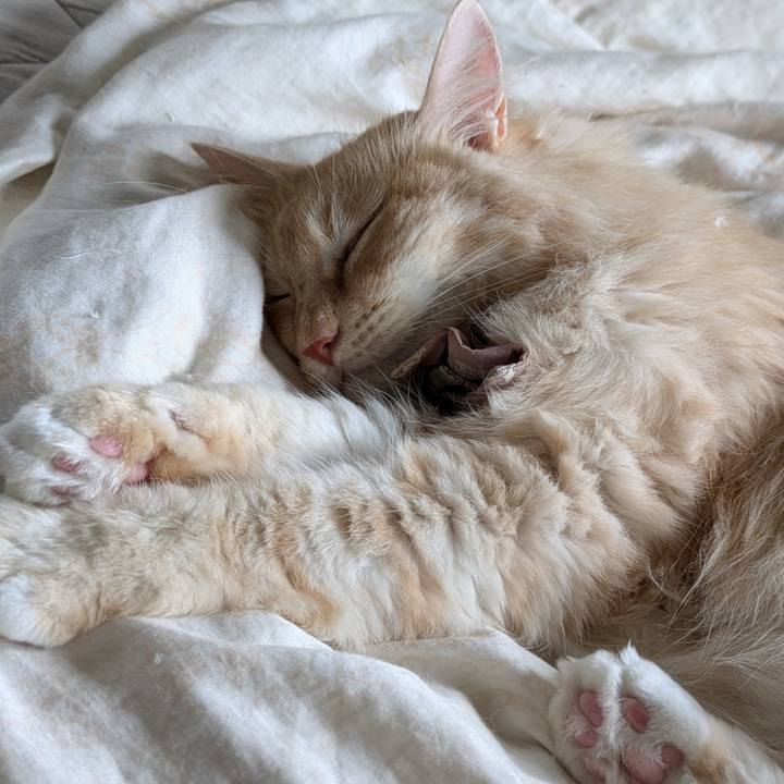 9e69b86e 7f84 47c7 8876 55bc847f0320 1728177429726