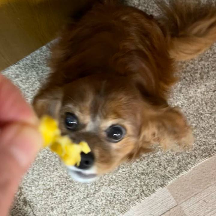 9e6a3f9f ea19 4e9a a96e 96a95323987a 1732707208426