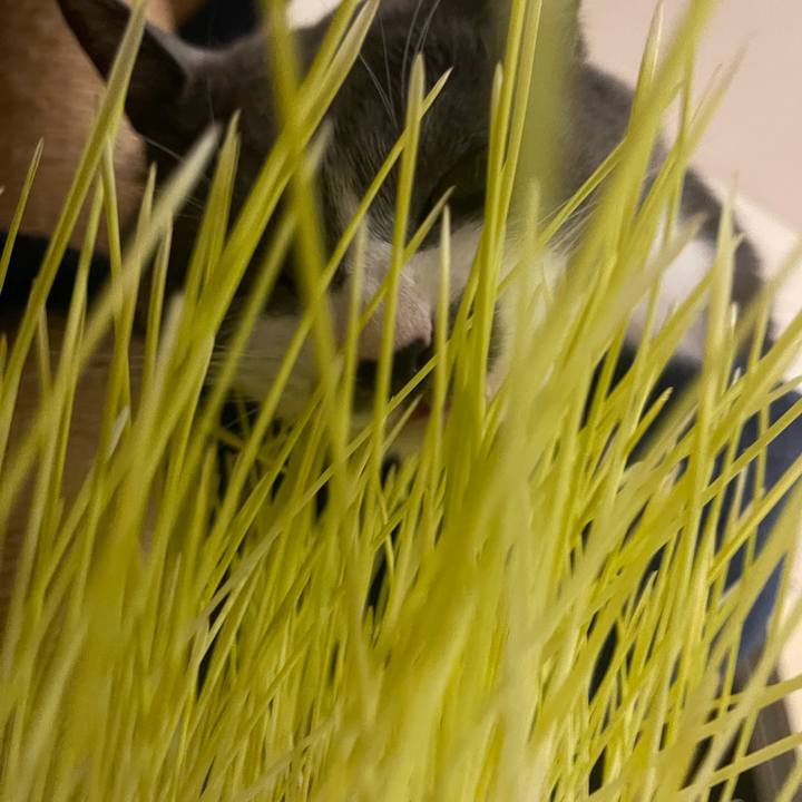 9e6a620b 8922 4b33 ada2 36457faf82bc 1747389135355