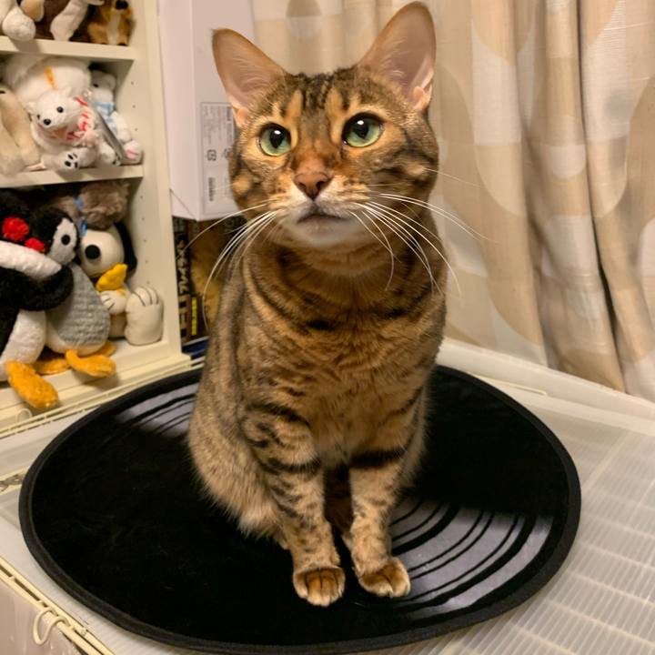 9e6a6d70 0f95 450a 8601 2e17f309f46a 1601430008674