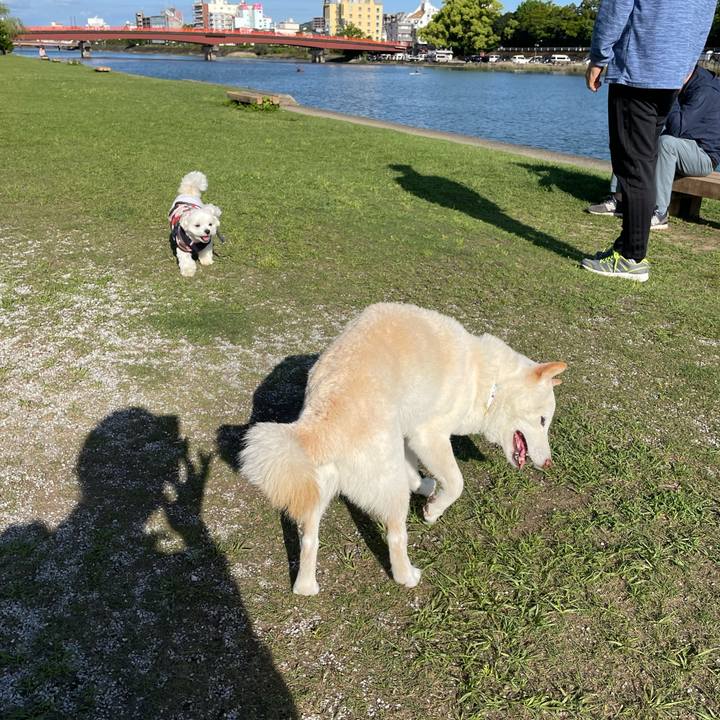 9e6a8ae5 00d4 4e00 b17f e5ffc770f21c 1651330158037