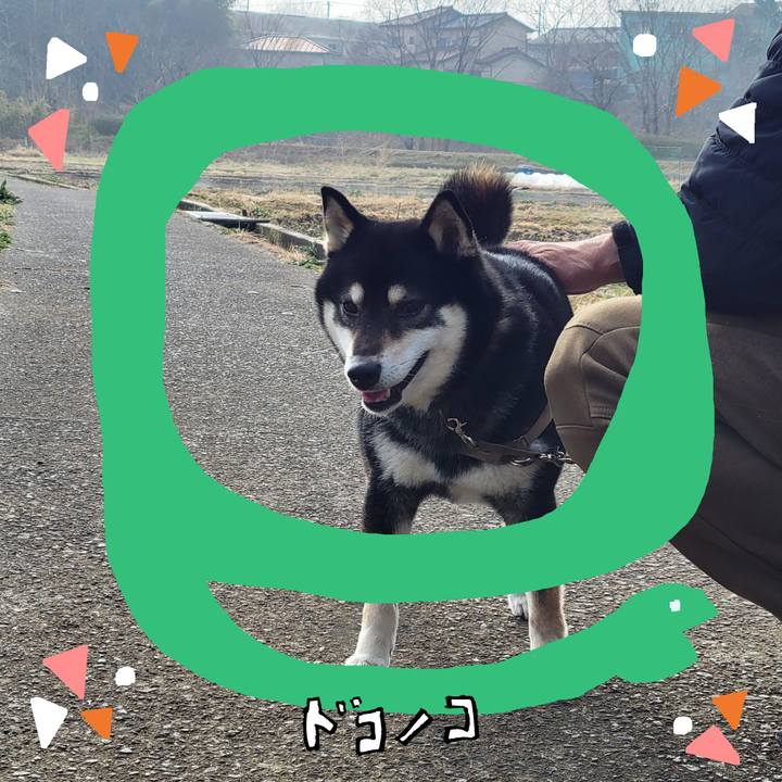 9e6a8b38 eb92 4154 943b cf976809c44c 1741478387160