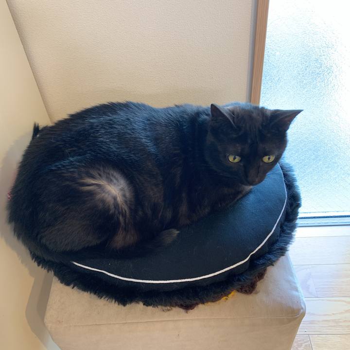 9e6a8d68 cc50 4091 a365 43a4436d9fba 1577845381733