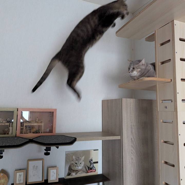 9e6ab4b7 dc2a 4e1b 8817 20432cfced08 1742021614096