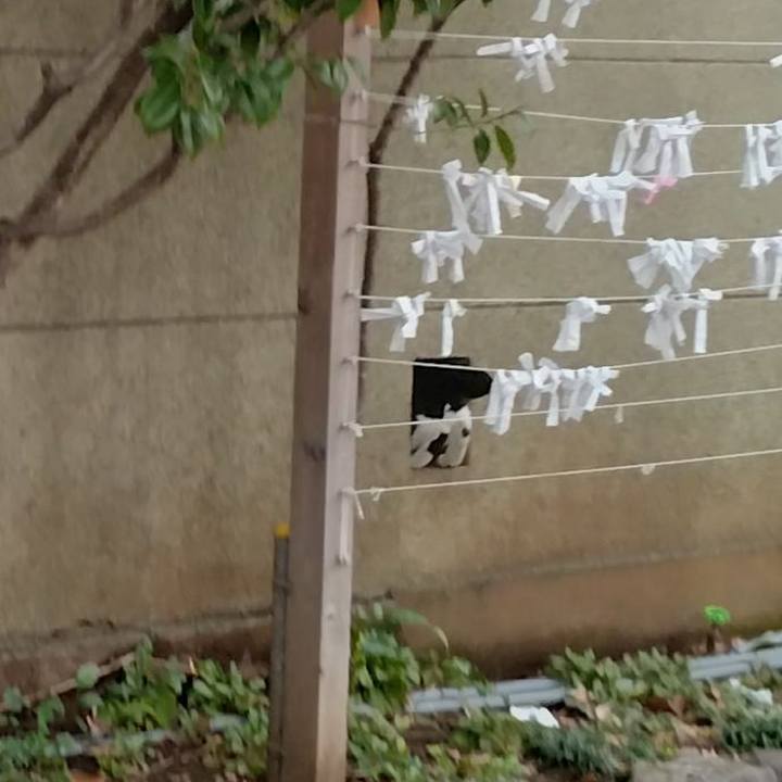 9e6ac1df a391 4e22 a99a ef12ddfc0d3e 1708417396215