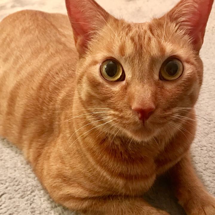 9e6b1dbb 35b4 4b80 b2d8 456760f763cf 1613991511819