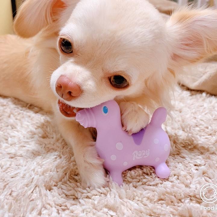 9e6b5ce0 f11e 4c24 8a5f be6d5ceea623 1625222398380